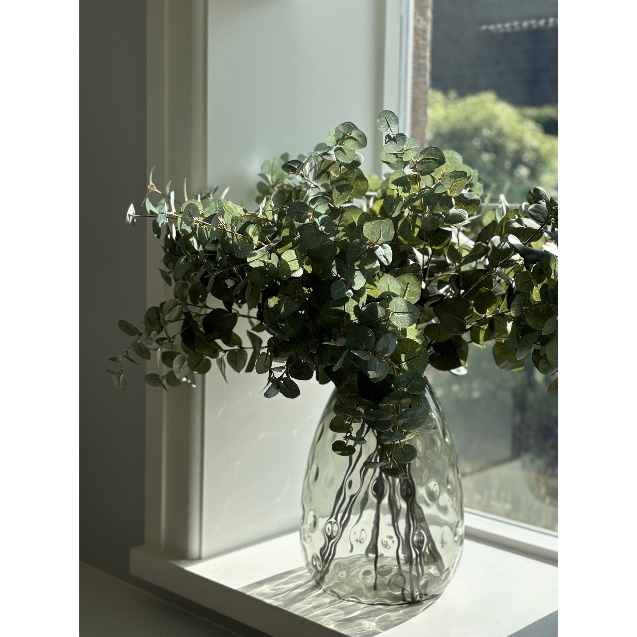 Eucalyptus Stem - Pack of 12